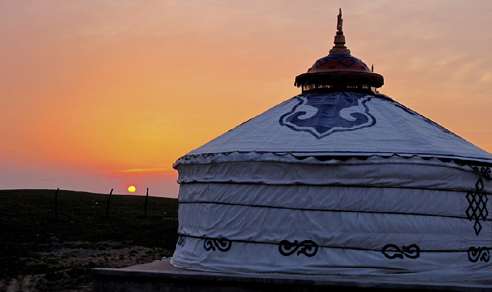 夕阳天鹅蒙古语